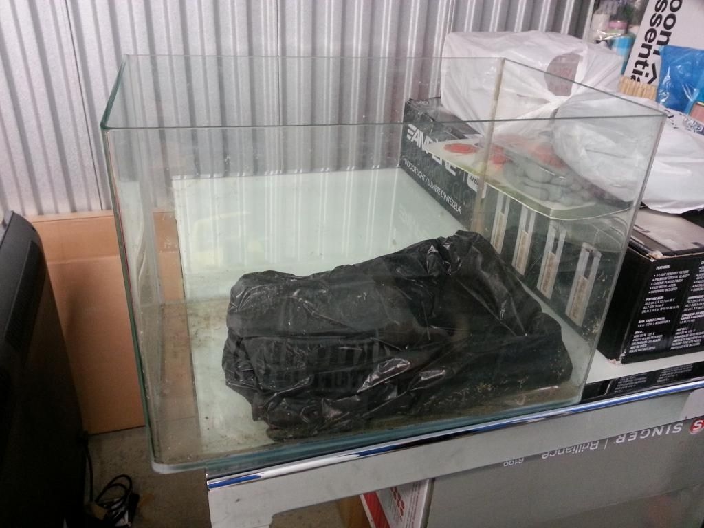 36' Odyssea dual t5ho & used 15 to 20 gallon rimless tank. GTA